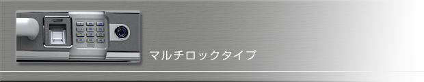 マルチロック式